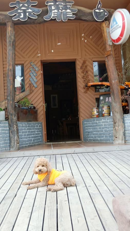 Dengfeng Climb International Youth Hostel Экстерьер фото